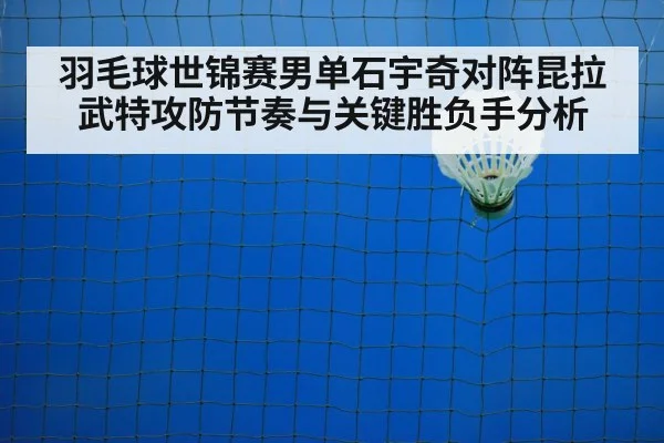 badminton net shot